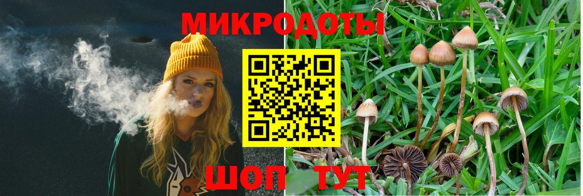 Новоалтайск  Псилоцибиновые грибы Psilocybine cubensis  Вход с VPN 